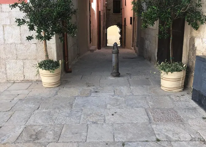 Conte Mami